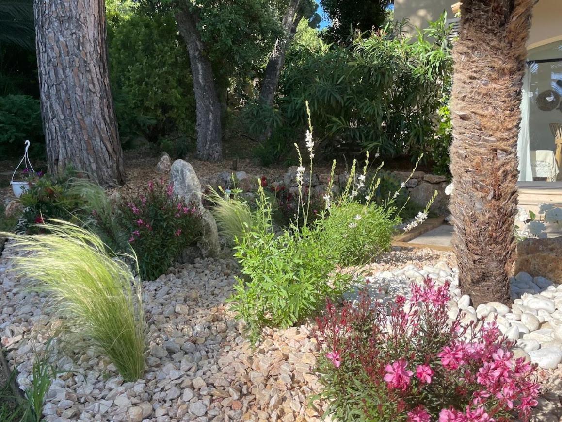 Hotel La Beluga Sainte-Maxime Esterno foto